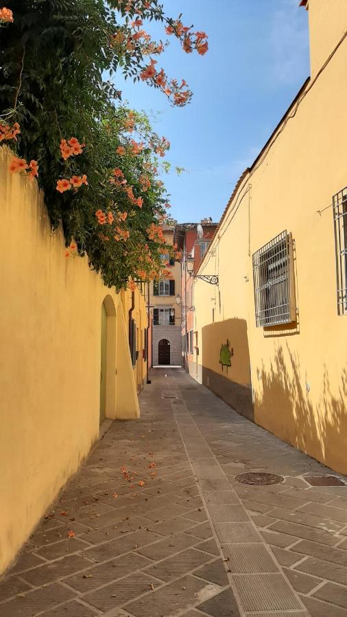 Casa Campanella Acomodação com café da manhã Pisa Exterior foto